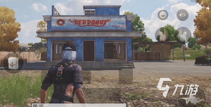 在奥地利站 在奥地利站